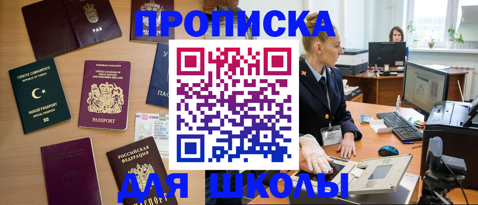 где прописаться в Дмитрове
